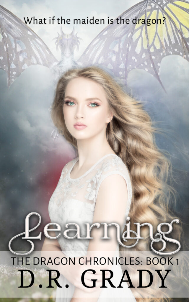 Book Cover: The Dragon Chronicles: Book 1 Learning